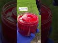 🏴⚒️✝️ Mixed Berry SOLD OUT 🥶😱 #koolaidpineapple #pineapples