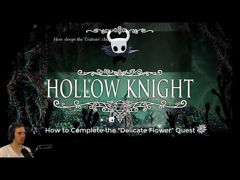 Hollow Knight Walkthrough - Delicate Flower Quest