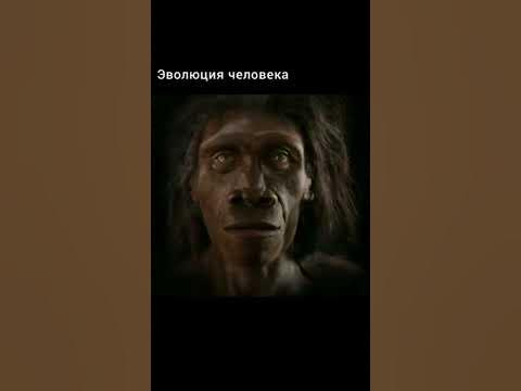 Эволюция человека за 14 секунд - YouTube