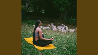 Gentle Calm in Mindful Echoes