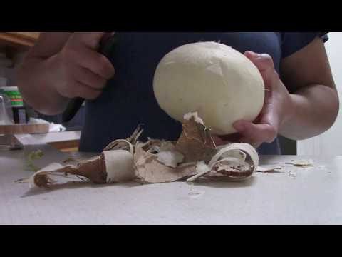 How to Peel Jicama (Stubborn Skin) Root at Home | Peeling Jicama Easily