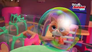 Superkitties - An Orange Cat Named Jandy Who Inside The Bubble Trouble Is A TV Show (2023)