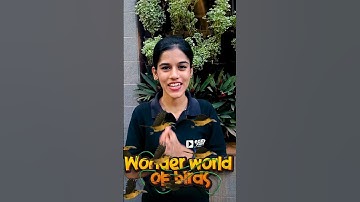 Wonder World of Birds 🪽