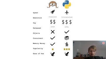 Python vs Go - Which Programming Language Should You Choose in 59 seconds?