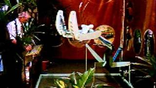 Praying Mantis Robot
