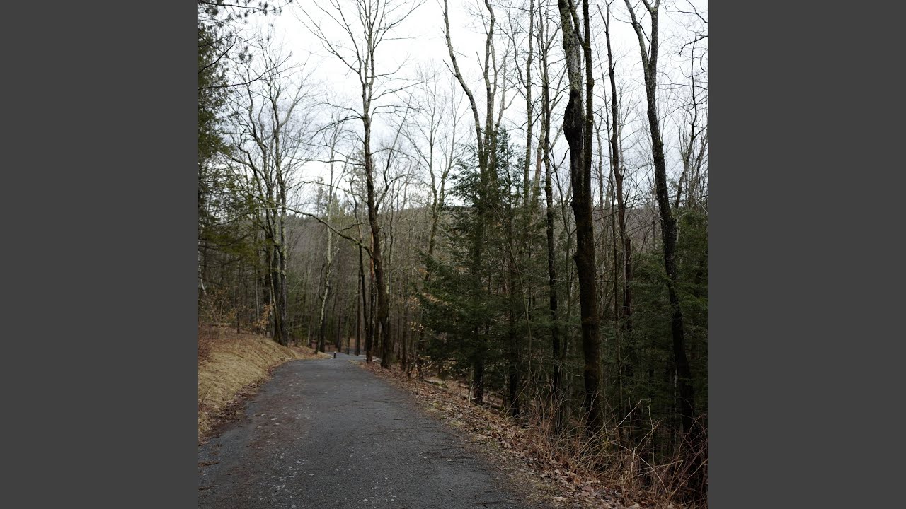 Jolly Sad In D Major