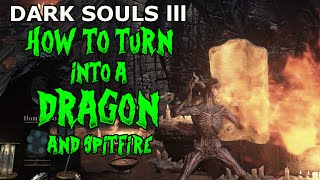 Dark Souls 3 TURN INTO A DRAGON AND SPITFIRE