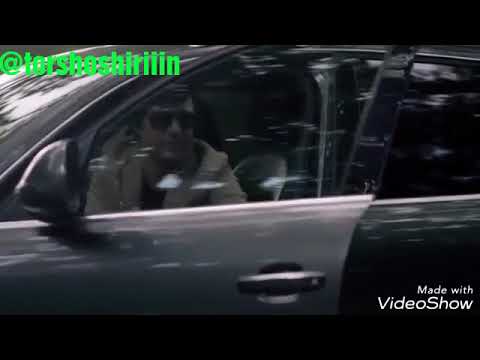 امیر شاملو