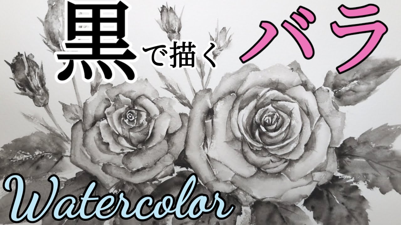 Watercolor painting] / How to draw a [rose] using only black