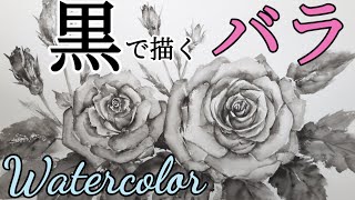 Watercolor painting] / How to draw a [rose] using only black