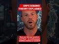XRP'S Domino Theroy Explained #digitalassets #cryptocurrency #xrp #xrpholders #cryptoripple #reel