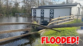 Damage to the Farm From HURRICANE IAN... 1 Day After the Storm