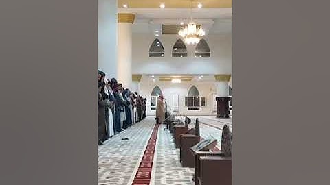 بقية التلاوة من سورة هود للشيخ / طاهر الصميلي حفظه الله