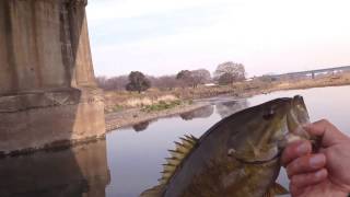 iruma2017032901