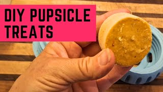 Diy Pupsicle Treats For Your Dog