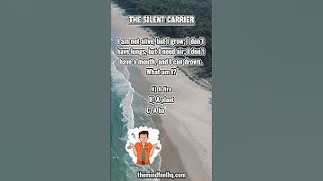 The Silent Carrier, Can You Solve This Mind-Bending Riddle? #riddlechallenge  #quiz #brainteaser