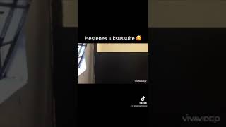 Hestenes luksussuite