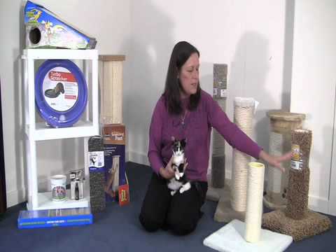 Video: How To Choose A Scratching Post For A Cat