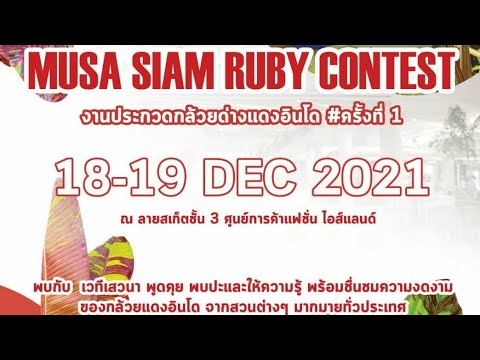 ผลสลากกินแบ่งรัฐบาล วันที่ 1 พย. 2567