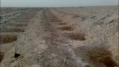 سورة التكاثر بصوت ناصر القطامي