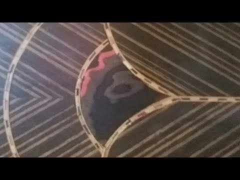 العلم بلا عمل كالشجره بلا ثمر