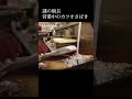 営業中のカツオのさばき方 #shorts #japanesefood #カツオ #さばき方 #fish #fukuoka #사시미 #후쿠오카