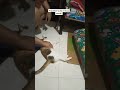 Pasaw@y talaga kuya mo 'nak!