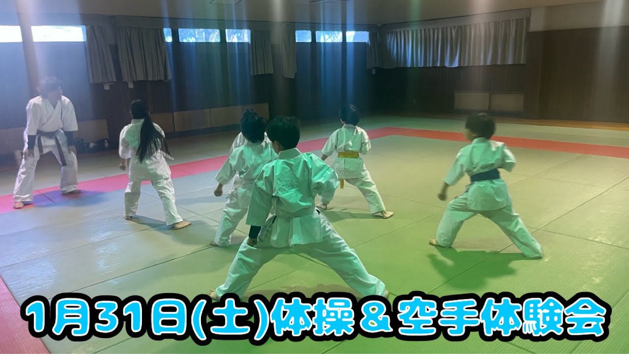 31 января (суббота) – Гимнастика и карате.