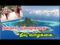 நம்பமுடியாத தீவு வாழ்க்கை - Most Amazing islands in world