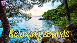 Relaxing Music to Relieve Stress  Anxiety and Depression • Mind, Body  Soothing music for nerves