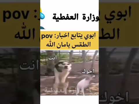 وزاره العفطية تابعني و اشبع ضحك