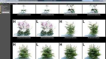 Quick Tip: How to Add Lib (ex: MaxTree) to Forest Pack Pro