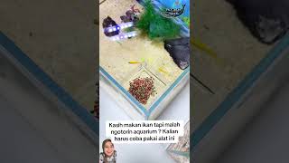 Tempat pakan ikan #ikan #ikanhias #fish #aquascape #aquarium #fyp #funny #pets #pet #animals #water