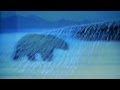 Graeme S - Autofac