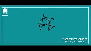 TIGER STRIPES - MOAN (ORIGINAL MIX)