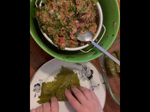 دنده گوشت با دولمه دولمه عراقي دولمه ترش دولمه پياز دولمه ملس دولمه نارنج دولمه با دنده گوشت