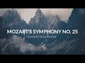 Mozarts symphony no 25  titan theme  cover by vishal bhojane