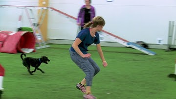 International Agility Training Week - Connection to the hand in Flick - preview