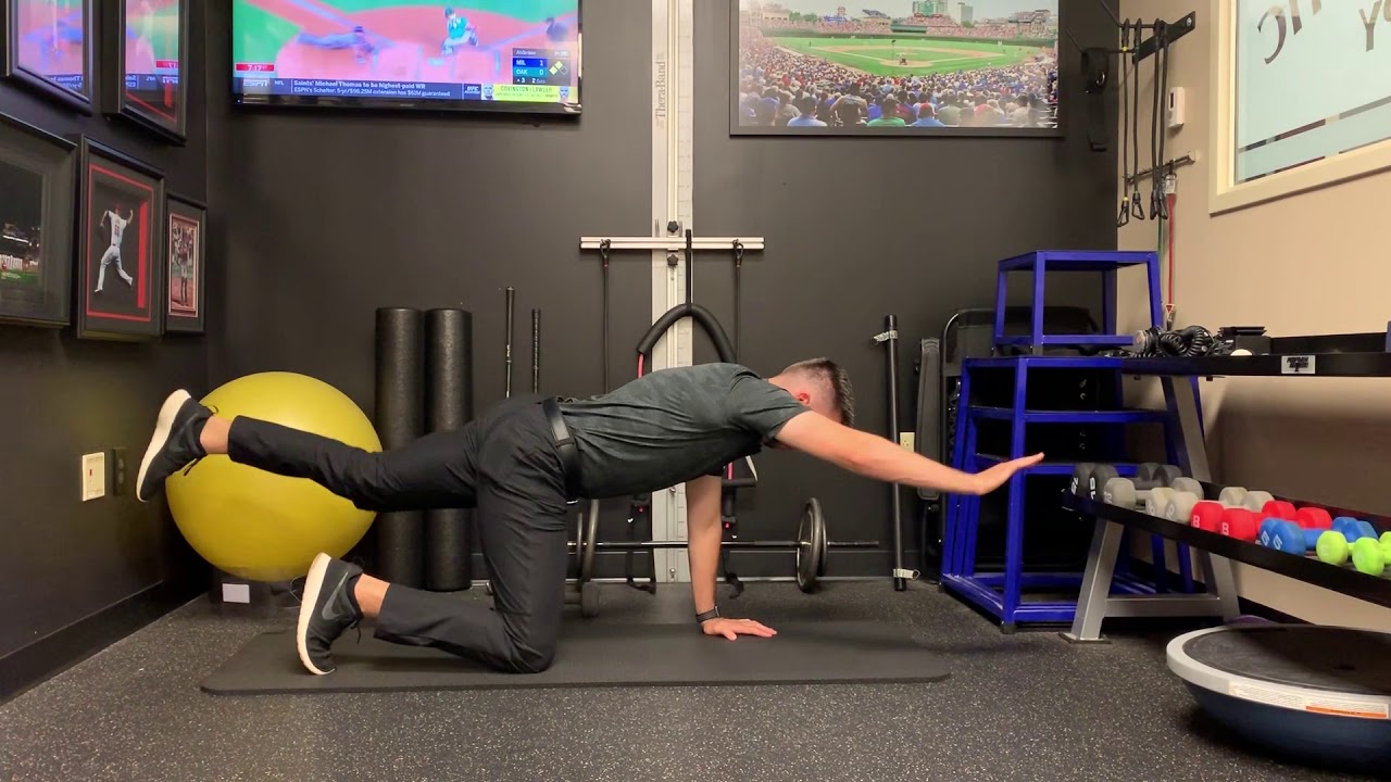 Nicholas Rohlfs DC - Rohlfs Chiropractic Care -- Movement/ Flow - YouTube