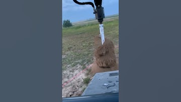 You gotta watch this! Bobcat Mt85 mini skid steer