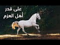 من أقوى قصائد المتنبي على قدر أهل العزم تأتي العزائم