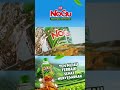 NoGu Natural Organic Greentea For You NoGu Natural Organic Greentea For You