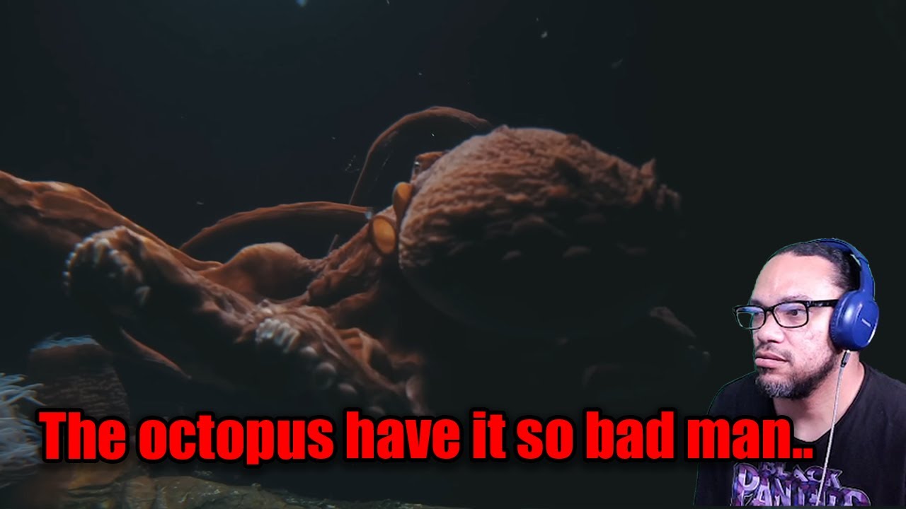 РЕАКЦИЯ: ПОВСЕДНЕВНЫЙ ГЕОГРАФИЧЕСКИЙ ОСЬМИНОГ