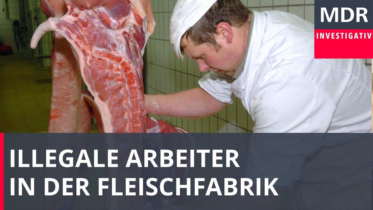 Illegal bei Tönnies - Was passiert mit den Menschen?