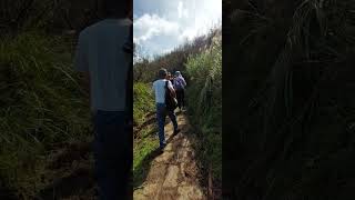 241115_1153-33   台北  陽明山【擎天崗-風櫃嘴】頂山石梯嶺步道  走出黑森林