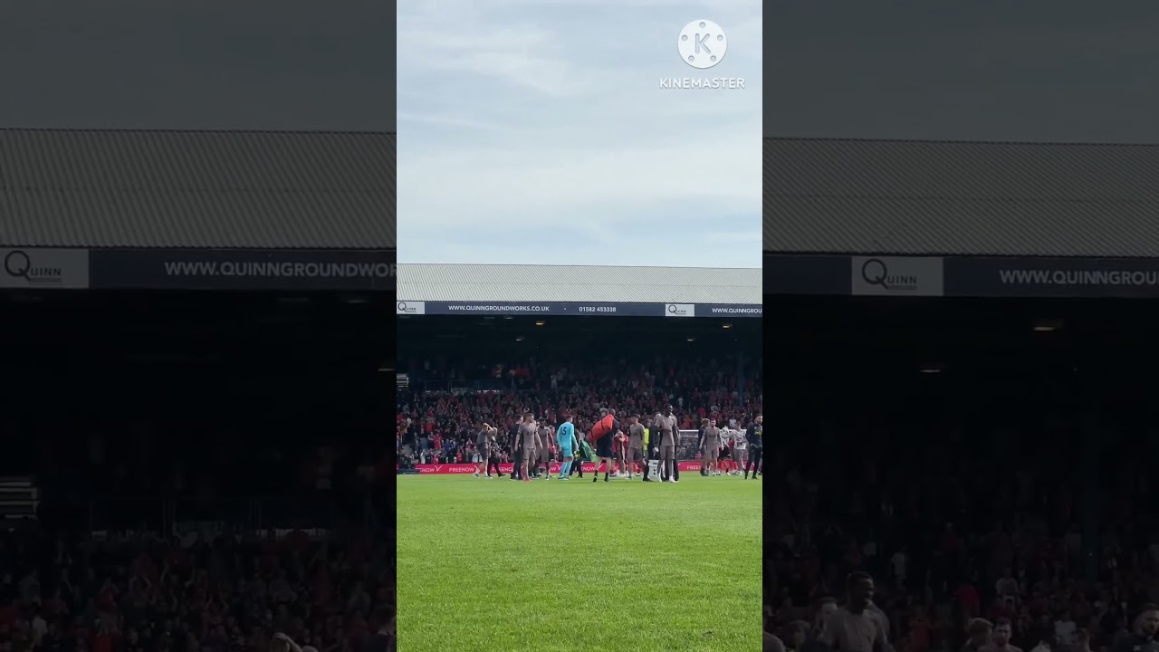 Torcida do Luton Town leva cachorro para assistir o jogo contra o Tottenham  : r/futebol