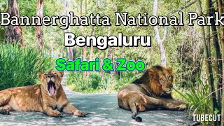 Bannerghatta National Park | 🦣Jungle Safari & Zoo | Must Visit Place in Bengaluru #zoo