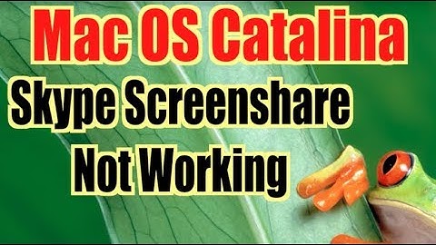 Skype Screenshare Not Working Mac OS Catalina - MULLY
