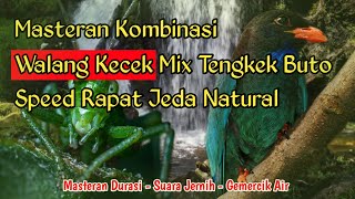 🔴 MASTERAN TENGKEK BUTO MIX WALANG KECEK