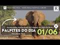 Palpite do dia 01/06/2026 Jogo do Bicho + Loteria Tradicional - Resultado Fácil